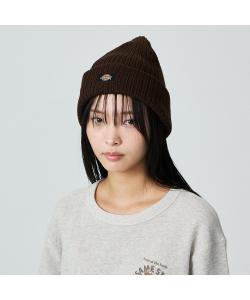 Вязаная шапка Dickies EX FIRE с логотипом Abahouse Lastword, цвет Brown