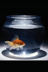 Desen , Imaginatie , Dezvoltare: desvoltarea imaginatiei prin desen (Independently published)