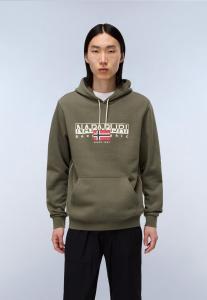 Худи Napapijri AYLMER WINT, Tea Leaf Ga/Dark Green