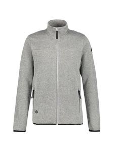 Спортивная куртка Icepeak, серый