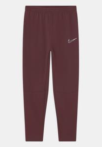 Спортивные брюки Academy Winterized Unisex Nike, цвет burgundy crush