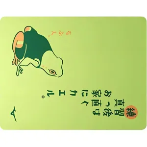 Губка для плавания PVA/полиэстер бассейн унисекс 33см×44см Mizuno, светло-зеленый