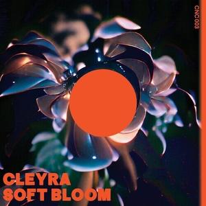 Сингл 12" Cleyra: Soft Bloom