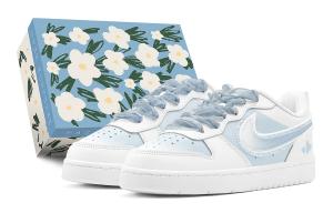 Женские скейтерские кеды Court Borough низкие белые Nike, синий белый