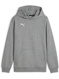 Puma Худи "TeamGoal CasuaLongsleeve Hoody Jr" серого цвета