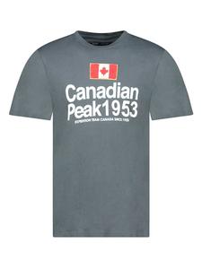 Футболка Canadian Peak, серый