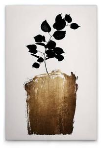 Картина на холсте A.S. Création Golden Scabiosa цвет cremegoldschwarz