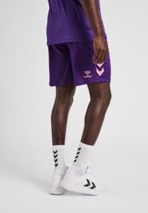 Спортивные шорты CORE XK POLY Hummel, цвет acai