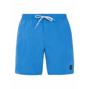 PROTEST Плавки-шорты Протест Пртбаки