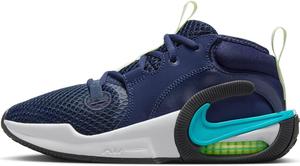 Баскетбольные кроссовки Nike Boy's Young Athletes, Midnight Navy Dusty Cactus Volt Tint