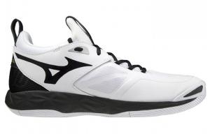 Кроссовки Mizuno Momentum Мужчины
