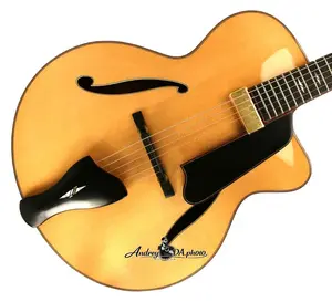 Электрогитара Eastman AR905CE-BD-TC