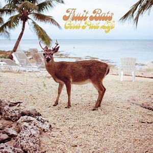 Виниловая пластинка LP Gold Past Life - Fruit Bats