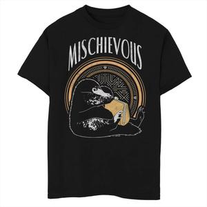 Футболка с озорной графикой «Гарри Поттер: Фантастические твари: Преступления Гриндельвальда» для мальчиков 8–20 лет Harry Potter