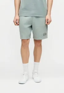 Шорты с логотипом heritage Gap, Iceberg Green