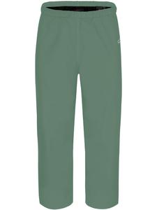 Normani Спортивные брюки Regular 'Bristol' в темно-зеленом цвете