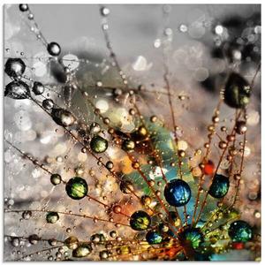 Стеклянная картина Artland Farbenfrohe Natur, 40x40x2 см, красочный