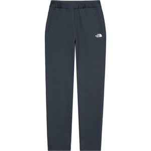 Повседневные брюки мужские steel gray THE NORTH FACE, серый