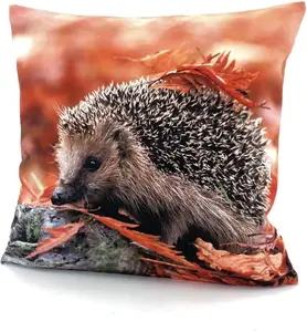 Чехол на подушку Weckbrodt "Ежик", (1 шт.) 40х40 см, цвет multi