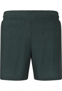 Virtus Шорты для серфинга 'Andream' в темно-зеленом цвете