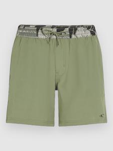 Пляжные шорты O'Neill Pocket Print 16″ Boardshorts, avery fern