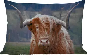 Подушка для улицы - Шотландский высокогорный скот - Рога - Гора - 60 x 40 см - Водонепроницаемая - Подушка для отдыха - Декоративная подушка - Подушка для дома MuchoWow
