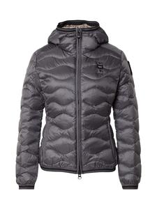 Зимняя куртка Blauer.USA, темно-серый