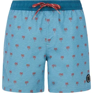 Мужские плавки Parco Protest, синий