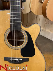 TAKAMINE GN30CE Натуральный