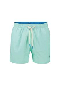 Пляжные шорты с внутренними трусами Lerros, зеленый