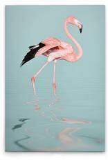 Картина на холсте A.S. Création Flamingo Water цвет blaurosagrau