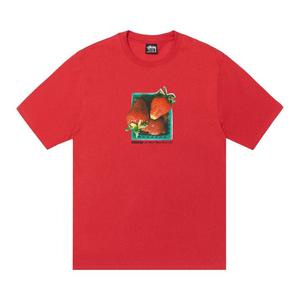 Футболка Stussy Berries Tee, Cayenne