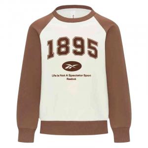 Reebok Свитшот Red Brown для детей 3-7 лет