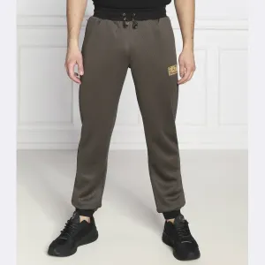 Спортивные брюки стандартного кроя Ea7, зеленый