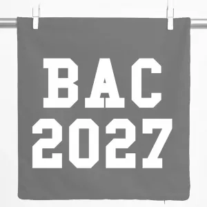 Декоративная наволочка Huuraa BAC 2027, подарок на выпускной во Франции, 40x40 см, стальной серый хлопок, украшение BAC 2027 Hellweg Druckerei