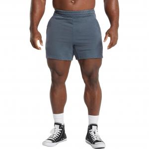 HERITAGE 5' Шорты Повседневные шорты мужские Titanium Blue GYMSHARK