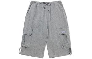 Трикотажные спортивные штаны мужские серые Dickies, серый