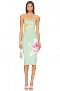 Платье «луна-мотылек» Tyler Mcgillivary, цвет luna moth