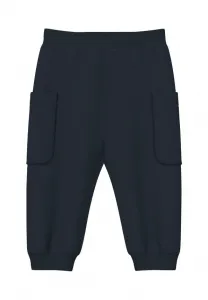 Спортивные штаны S.Oliver, Navy