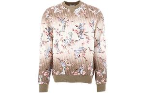 Ежеквартальные новинки Толстовка мужская коричневая Dior, коричневый