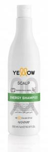 Против выпадения волос, 500 мл Alfaparf, Yellow Scalp Energy Shampoo