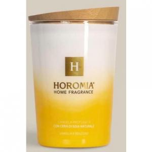Ароматическая свеча Horomia Vanilla and Benzoin 350 г с натуральным соевым воском Onixseal