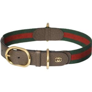 Ошейники для собак и кошек Gucci, зеленый and красный