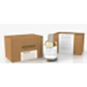 Парфюмерная вода Stallion 53, 100 мл