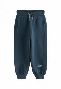 Спортивные брюки-джоггеры стандартного кроя Baker By Ted Baker, Navy