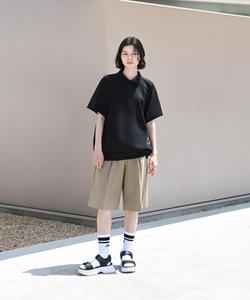 SWAFSH E1 / SWAFSH F1