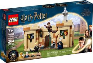 LEGO Harry Potter, блоки, Первый урок полета, 76395