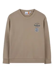 Толстовка с городским принтом Timberland Kids, нейтральный
