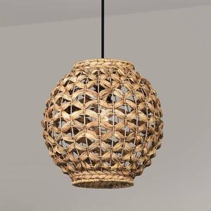 Подвесной светильник Nova Luce Griffin Typ D, лист растения / алюминий - 1-пламенный