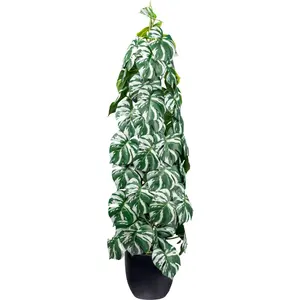 Creativ green Искусственное комнатное растение «Сплитфилодендрон», с колонновидной структурой, цвет grün-weiß